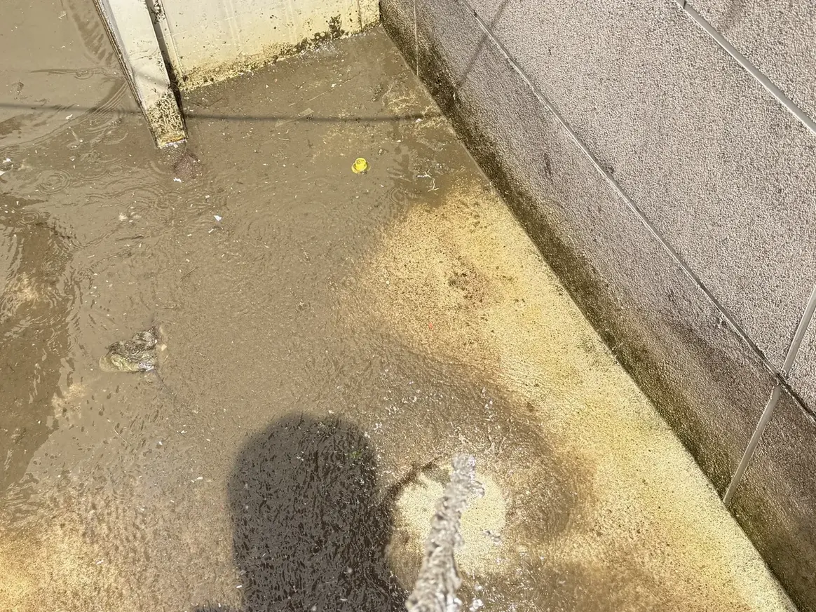 포천시 가산면 침수 현장 복도·대기 동선 야간 위생청소 사례 - 행진크린